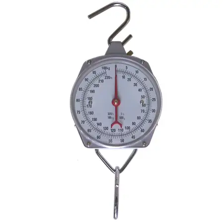 Click Here To Enlarge This Photo Of CSG CM RANGE DUAL MARKED HANGING SCALE