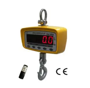 EVERIGHT OCS-SP MID-RANGE CRANE SCALE