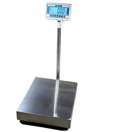 Click Here To Enlarge This Photo Of CSG BR-MS SERIES INDUSTRIAL FLOOR SCALES
