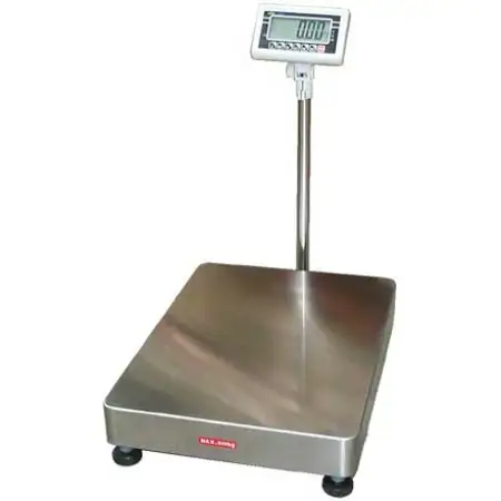 Click Here To Enlarge This Photo Of CSG BR-MS SERIES INDUSTRIAL FLOOR SCALES