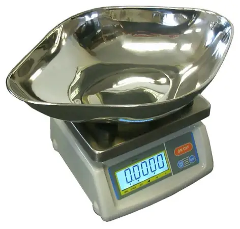 Click Here To Enlarge This Photo Of BAXTRAN BS BENCH SCALE